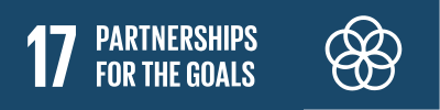 SDG 17