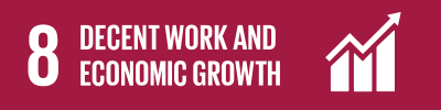 SDG 8
